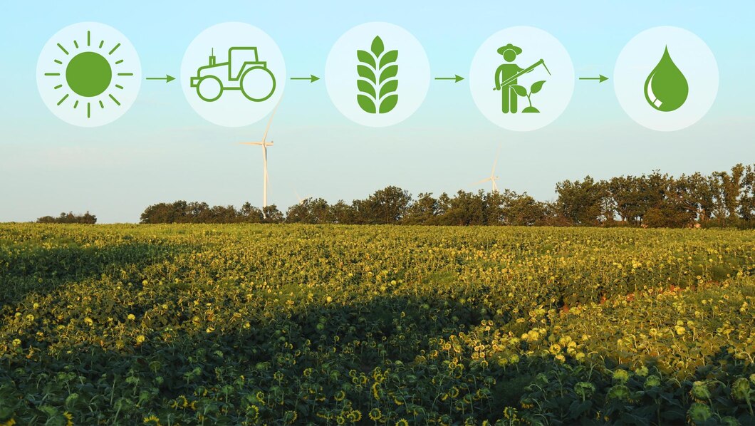 Optymalizacja efektywności gospodarstwa rolnego – praktyczne porady i najlepsze produkty