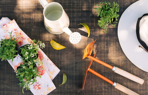 Jak zaprojektować przestrzeń ogrodową, aby była zarówno estetyczna, jak i funkcjonalna?