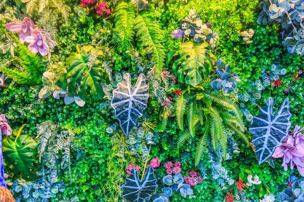 Wykorzystanie pnączy do tworzenia zielonych ścian w ogrodzie