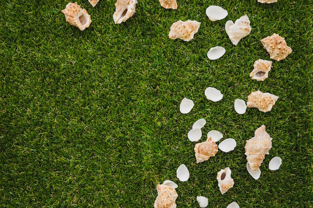 Jak sztuczna trawa może odmienić Twój ogród?